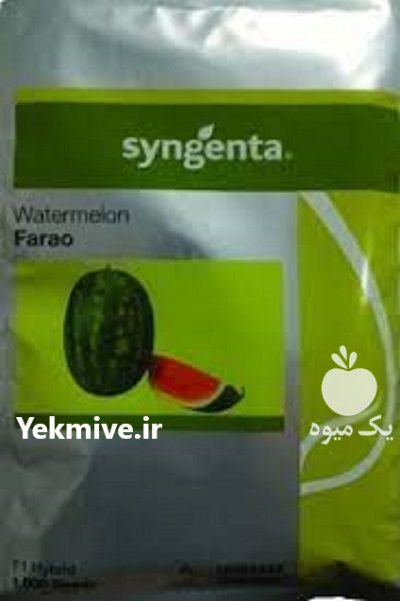 بذر هندوانه زود رس فارائو در درجزین در گروه خرید و فروش بذر هندوانه در یکمیوه -عکس1