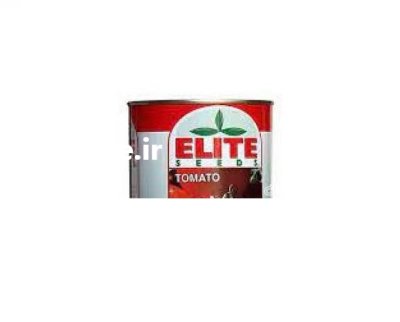 فروش بذر گوجه سوپر استون الیت در کرمان  در گروه خرید و فروش بذر گوجه در یکمیوه -عکس3