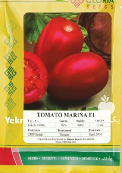 بذر گوجه فرنگی مارینا در جیرفت در گروه خرید و فروش بذر گوجه در یکمیوه -عکس1