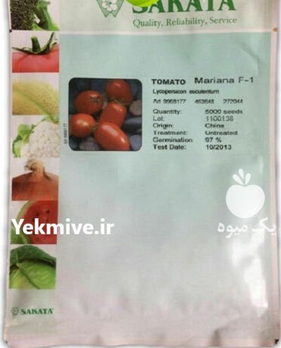 بذر گوجه ماریانا ساکاتا در بیرجند در گروه خرید و فروش بذر گوجه در یکمیوه -عکس1