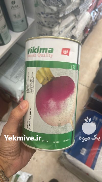 بذر شلغم دو رنگ ویکیما در حصارگرمخان در گروه خرید و فروش انواع بذر در یکمیوه -عکس1