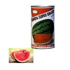 بذر هندوانه دراگون در باغستان در گروه خرید و فروش بذر هندوانه در یکمیوه