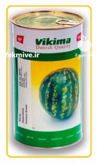 بذر هندوانه ویکیما در چلگرد در گروه خرید و فروش بذر هندوانه در یکمیوه