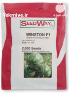 بذر هندوانه وینستون در بایگ در گروه خرید و فروش بذر هندوانه در یکمیوه