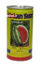 بذر هندوانه یونی ژن در پیشوا در گروه خرید و فروش بذر هندوانه در یکمیوه