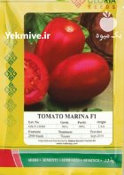 بذر گوجه فرنگی مارینا در جیرفت در گروه خرید و فروش بذر گوجه در یکمیوه