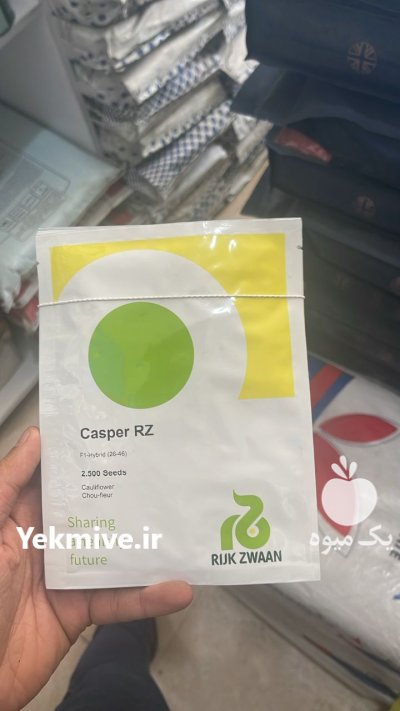 بذر گل کلم هیبرید کاسپر رکزوان در افزر در گروه خرید و فروش انواع بذر در یکمیوه -عکس1