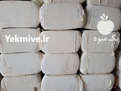 پنبه محلوج افغان در تهران در گروه خرید و فروش گیاهان صنعتی در یکمیوه -عکس2