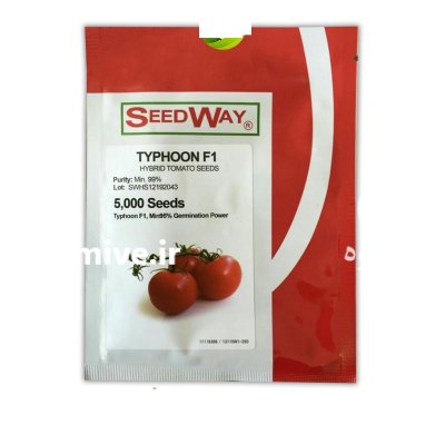 فروش بذر گوجه تایفون در اراک در گروه خرید و فروش بذر گوجه در یکمیوه -عکس1