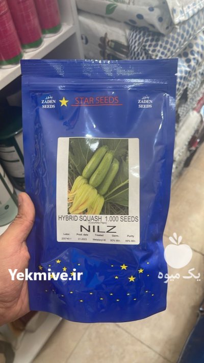 بذر کدو خورشتی بذر کدو نیلز در آیسک در گروه خرید و فروش بذر کدو در یکمیوه -عکس1