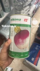 بذر شلغم دو رنگ ویکیما در قنوات در گروه خرید و فروش انواع بذر در یکمیوه