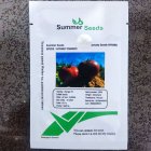 فروش بذر گوجه فرنگی رنجر در اصفهان در گروه خرید و فروش بذر گوجه در یکمیوه