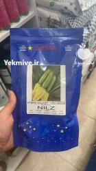 بذر کدو خورشتی بذر کدو نیلز در آیسک در گروه خرید و فروش بذر کدو در یکمیوه