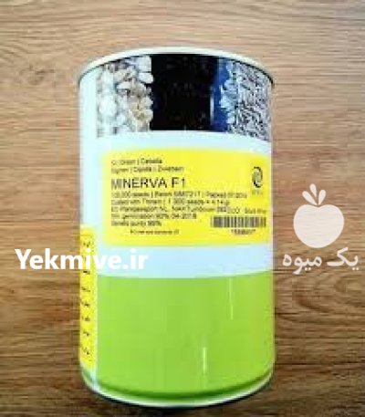 بذر پیاز مینروا انتخاب حرفه ای در هشتبندی در گروه خرید و فروش بذر پیاز در یکمیوه -عکس1