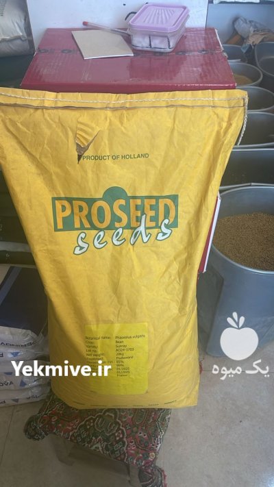 بذر لوبیا سبز سان ری هلندی در آیسک در گروه خرید و فروش انواع بذر در یکمیوه -عکس1