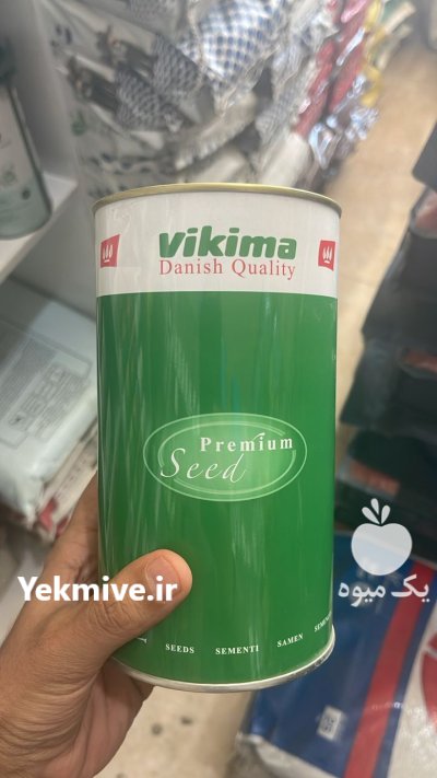 بذر فلفل دلمه ای ویکیما در آذرشهر در گروه خرید و فروش بذر فلفل در یکمیوه -عکس1