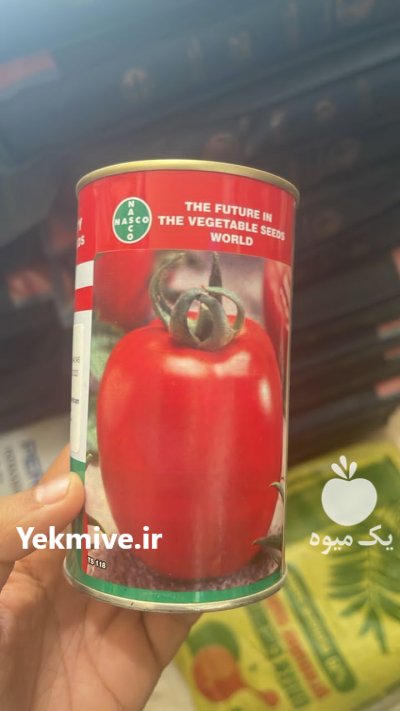 بذر گوجه فرنگی چف در آبسرد در گروه خرید و فروش بذر گوجه در یکمیوه -عکس1