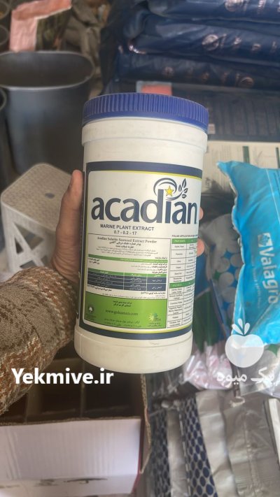 کود جلبک آکادین در باخرز در گروه خرید و فروش انواع کود کشاورزی در یکمیوه -عکس1