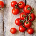 بذر گوجه فرنگی گلخانه ای بی در بندرریگ در گروه خرید و فروش بذر گوجه در یکمیوه