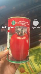 بذر گوجه فرنگی چف در آبسرد در گروه خرید و فروش بذر گوجه در یکمیوه