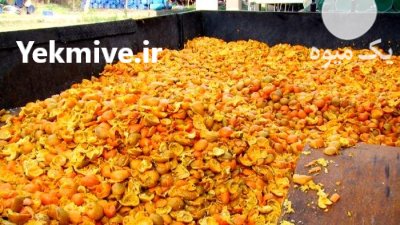 تفاله پرتقال تفاله پرتغال در تهران در گروه خوراک دام و طیور در یکمیوه -عکس1