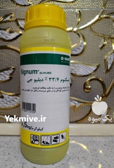 فروش سم قارچ کش سیگنوم در ساری در گروه خرید و فروش انواع سم در یکمیوه -عکس1