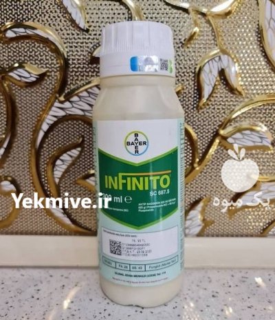 قارچ کش اینفینیتو بایر آلمان در بایگ در گروه خرید و فروش انواع سم در یکمیوه -عکس1