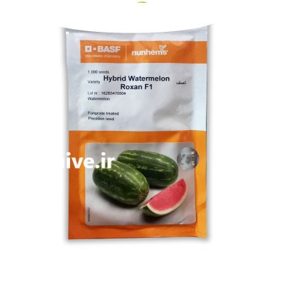 بذر هندوانه رکسان در بار  در گروه خرید و فروش بذر هندوانه در یکمیوه -عکس1