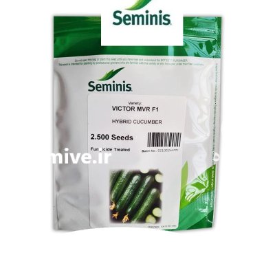 بذر خیار ویکتور سمینیس در حاجی آباد در گروه خرید و فروش بذر خیار در یکمیوه -عکس1