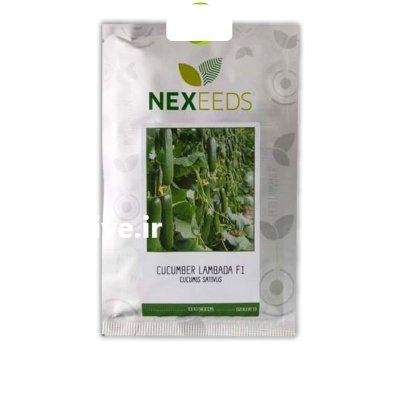 بذر خیار گلخانه ای ناگین در کرمان در گروه خرید و فروش بذر خیار در یکمیوه -عکس1