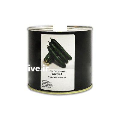 بذر خیار کانیون ساونا در بجستان در گروه خرید و فروش بذر خیار در یکمیوه -عکس1