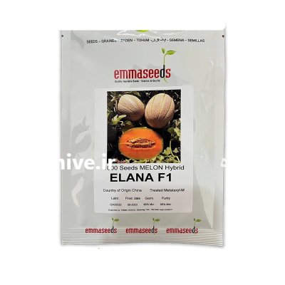 بذر خربزه جانا النا اماسید در ایوانکی در گروه خرید و فروش بذر خربزه در یکمیوه -عکس1