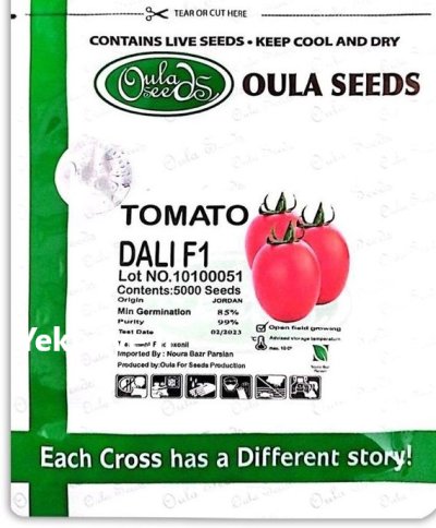 بذر گوجه فرنگی دالی DALI اولا در بجنورد در گروه خرید و فروش بذر گوجه در یکمیوه -عکس1