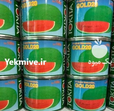 بذر هندوانه گلد بیست در بنجار در گروه خرید و فروش بذر هندوانه در یکمیوه -عکس1