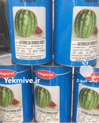 خرید بذر هندوانه کریمسون سوئیت نیاگارا در تیتکانلو در گروه خرید و فروش بذر هندوانه در یکمیوه -عکس1