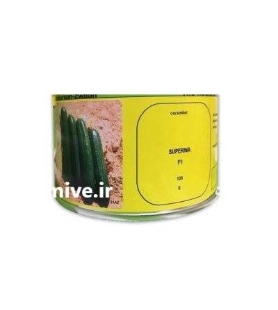 بذر خیار سوپرینا در پیش قلعه در گروه خرید و فروش بذر خیار در یکمیوه -عکس1