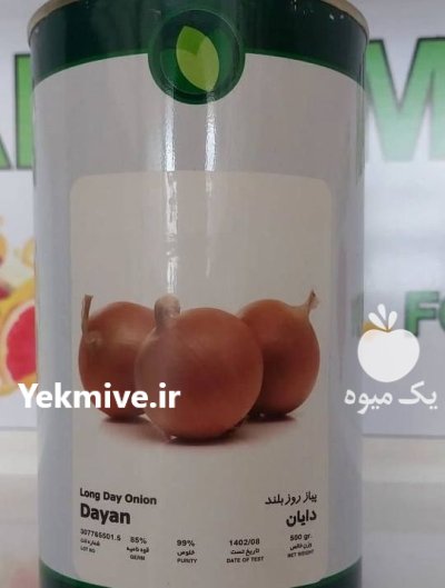 بذر پیاز طلایی دایان در باجگیران در گروه خرید و فروش بذر پیاز در یکمیوه -عکس1