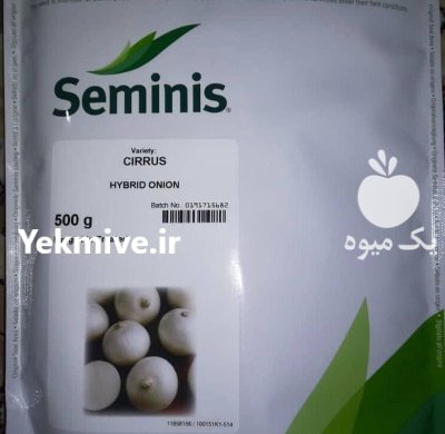 بذر پیاز سایروس در آقکند در گروه خرید و فروش بذر پیاز در یکمیوه -عکس1