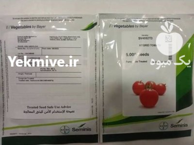 بذر گوجه فرنگی 4592 سمینیس در بردخون در گروه خرید و فروش بذر گوجه در یکمیوه -عکس1