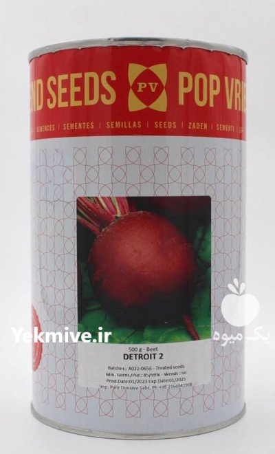 بذر چغندر لبویی دیترویت GSN در درجزین در گروه خرید و فروش بذر چغندر در یکمیوه -عکس1