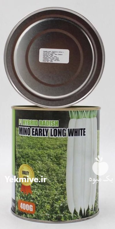 بذر ترب مینو ارلی در جونقان در گروه خرید و فروش انواع بذر در یکمیوه -عکس1