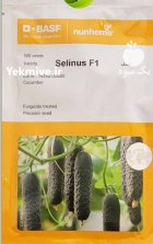 بذر خیار خاردار سلینوس در بن  در گروه خرید و فروش بذر خیار در یکمیوه