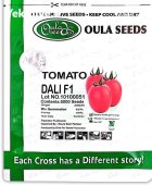 بذر گوجه فرنگی دالی DALI اولا در بجنورد در گروه خرید و فروش بذر گوجه در یکمیوه