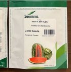 بذر هندوانه سانتا ماتیلده در پردیس در گروه خرید و فروش بذر هندوانه در یکمیوه