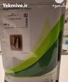 بذر کدو خورشتی کلاریتا SL 5 سمینیس در بن  در گروه خرید و فروش بذر کدو در یکمیوه