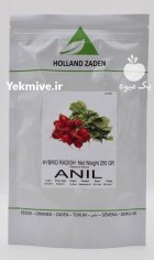 بذر تربچه آنیل در بیدخت در گروه خرید و فروش انواع بذر در یکمیوه