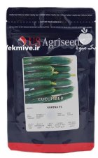 بذر خیار سوپرینا در بن  در گروه خرید و فروش بذر خیار در یکمیوه