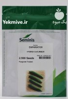 بذر خیار امپراطور سمینیس در بایگ در گروه خرید و فروش بذر خیار در یکمیوه