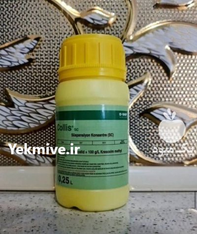سم قاچ کش کولیس در سلفچگان در گروه خرید و فروش انواع سم در یکمیوه -عکس1