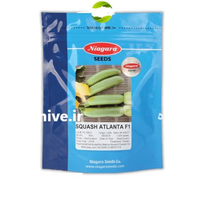 قیمت بذر کدو آتلانتا قیمت بذر در کرمانشاه در گروه خرید و فروش بذر کدو در یکمیوه -عکس1